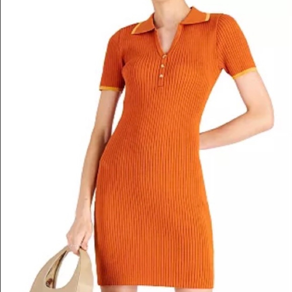 Layden (WAYF) collared mini, jersey dress